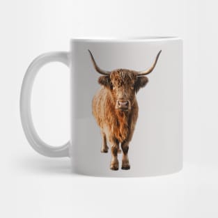Highland Cow Wooly Shaggy Kattle Mug